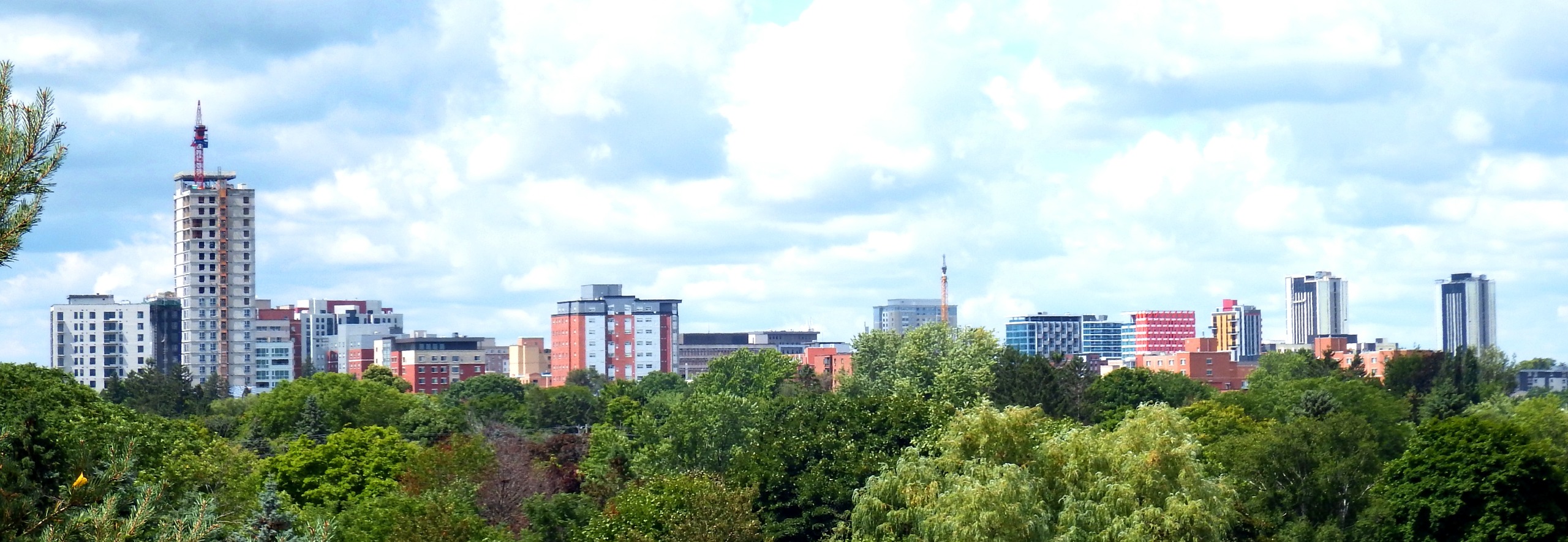 Skyline view of the City of Waterloo, showing buildings and trees