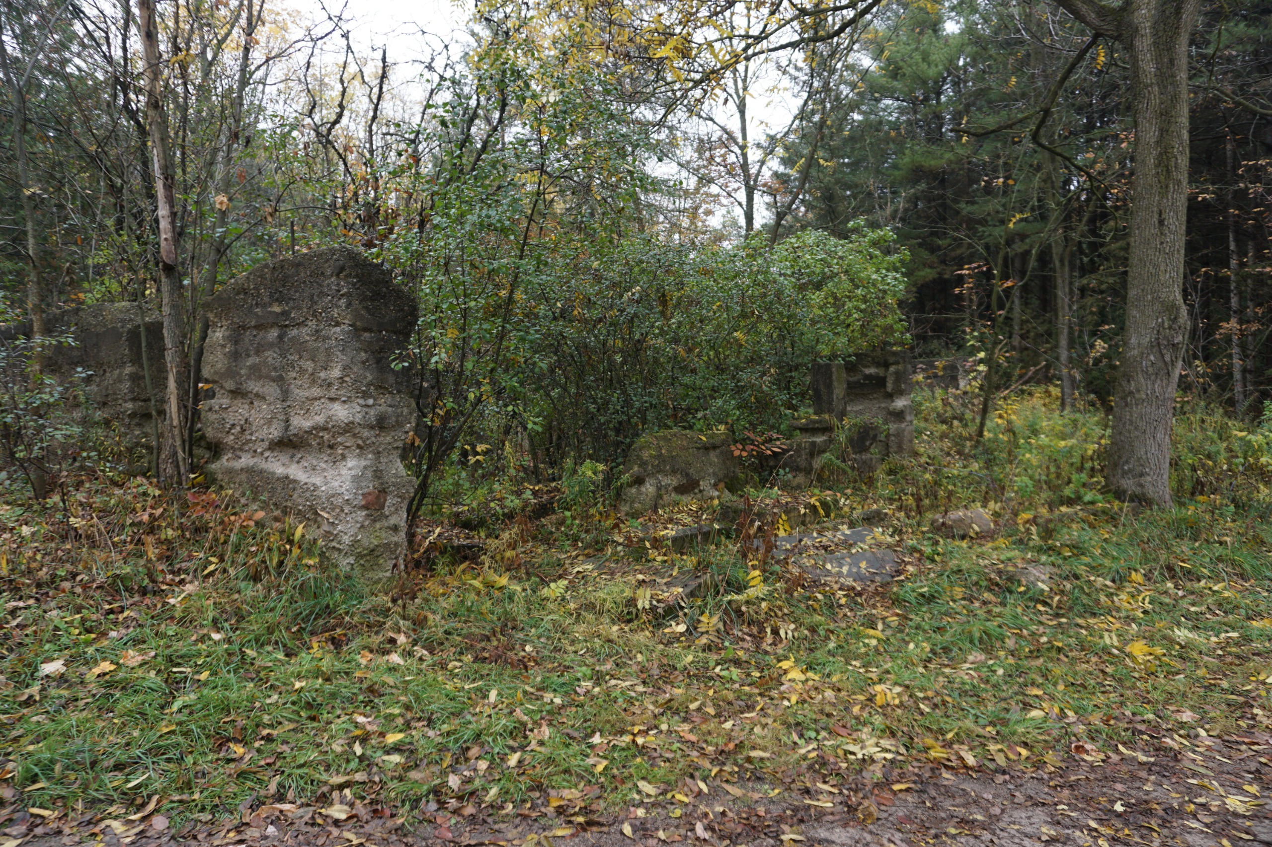 Photo of farm building ruins surrounded by trees along Plantation Trail in Huron Natural Area. 