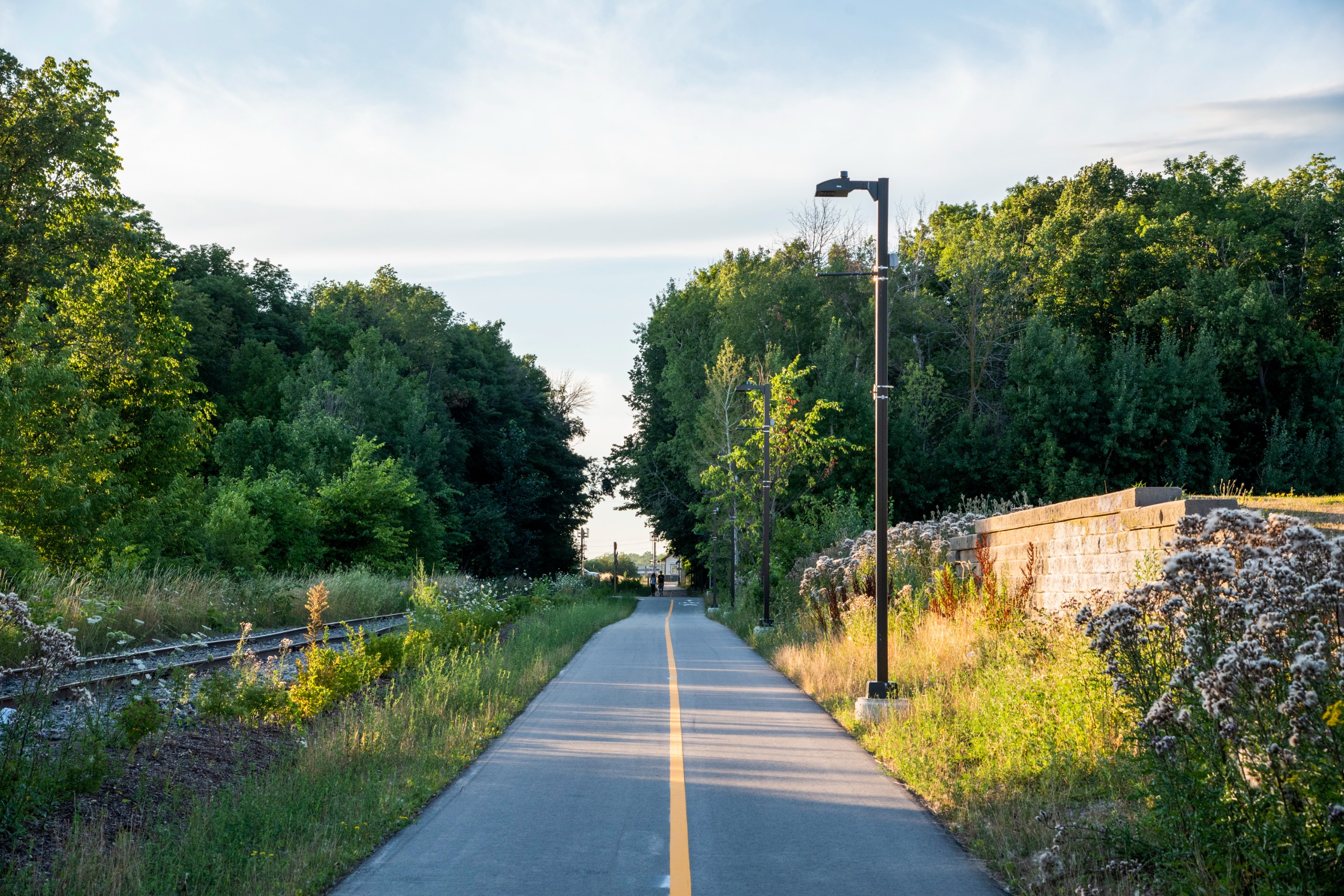 Am image of grass and vegetation along the Farmer's market trail.