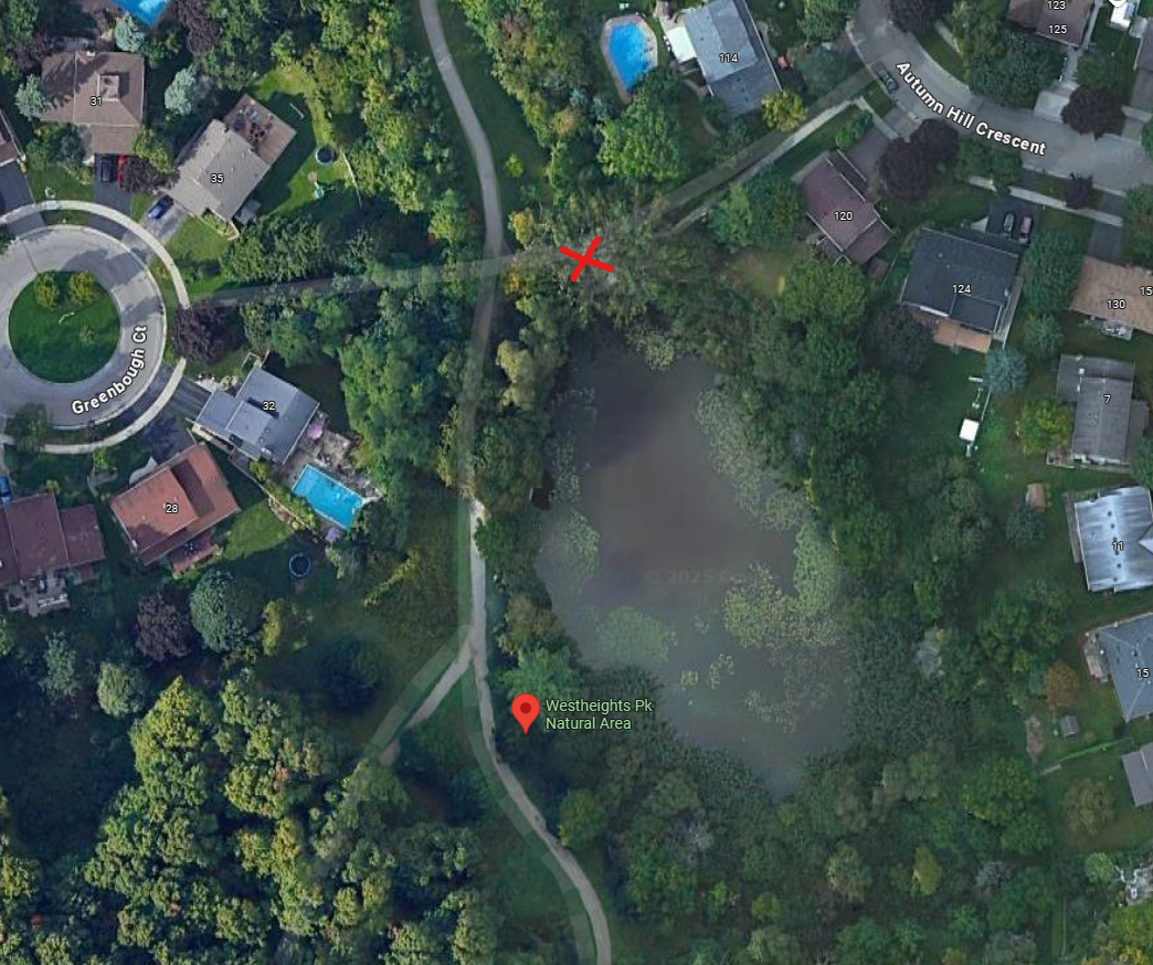 Map of meeting location, at the bench near Westheights Park Pond on the path between Greenbough Court and Autumn Hill Crescent