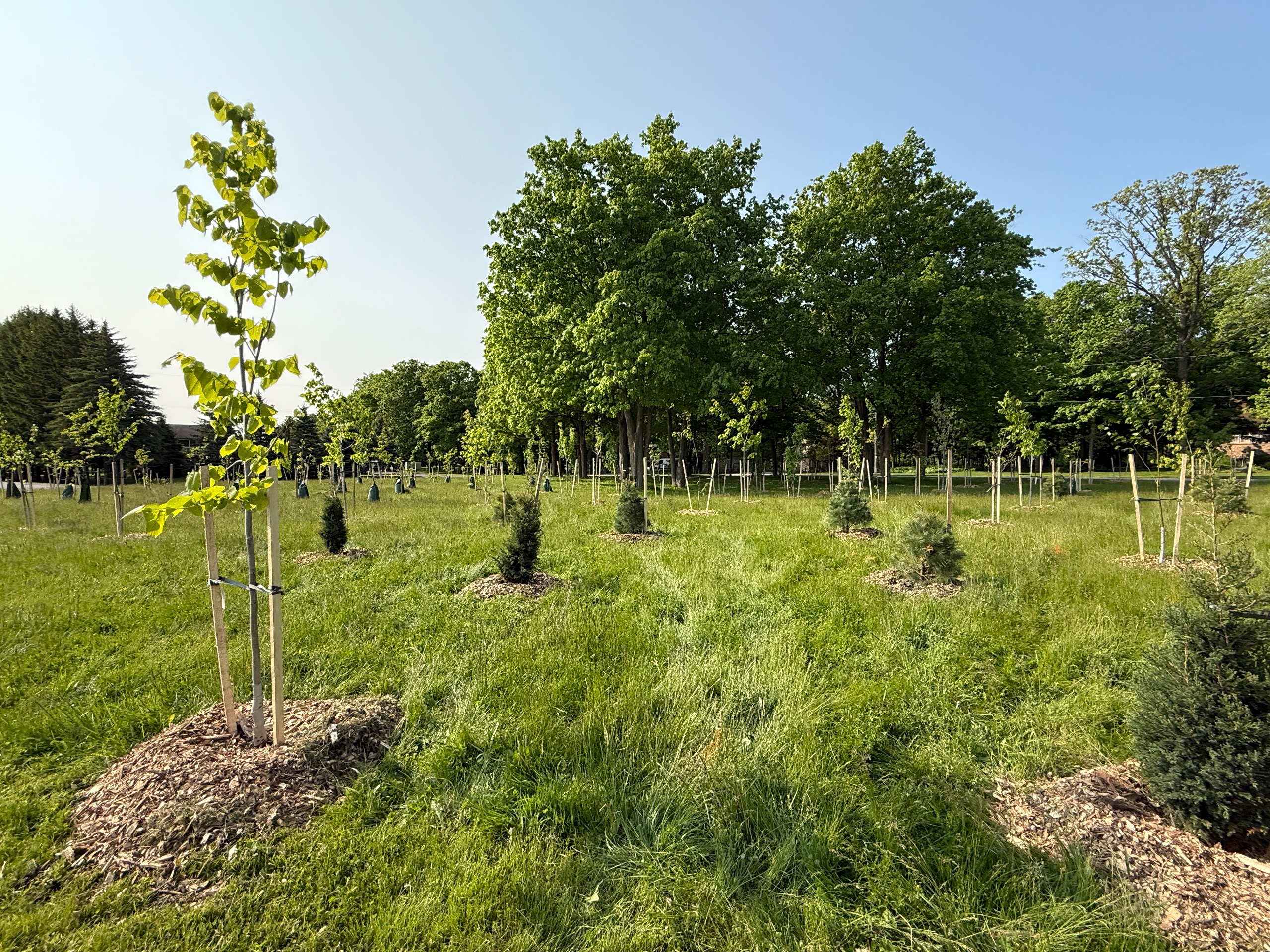 Where we're planting next: Northfield Park | 10,000 Trees in Waterloo ...