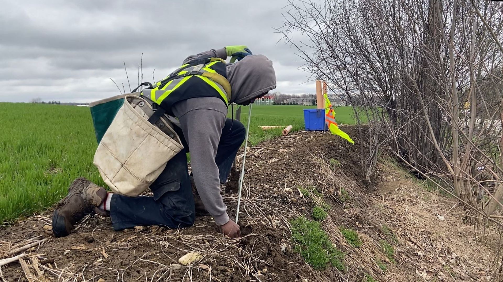 A person bent down planting a tree along a regional roadway. 