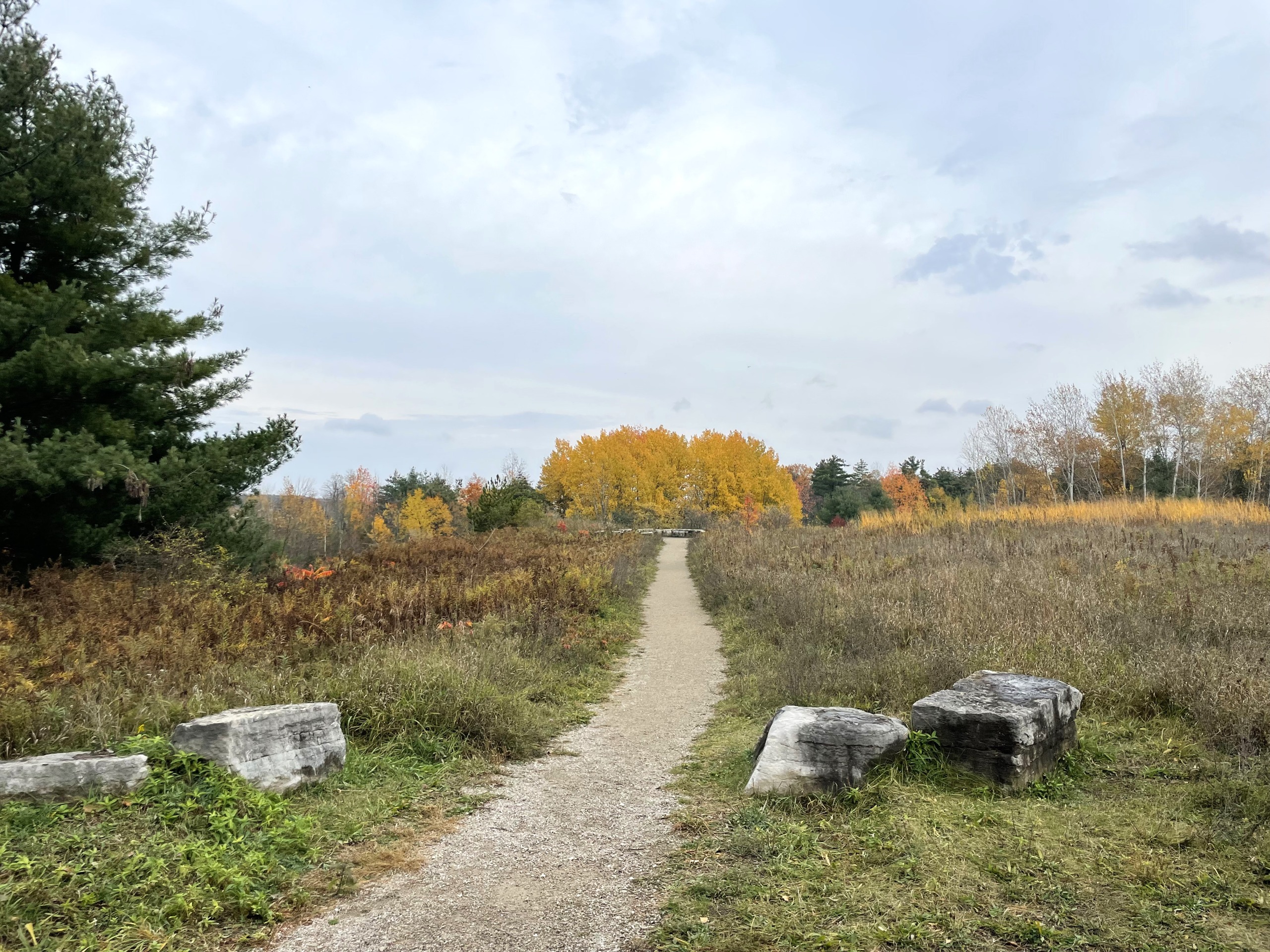 Photo of Meadow Trail. Two large flat stones flank the trail on each side. There is an evergreen tree to the left. 