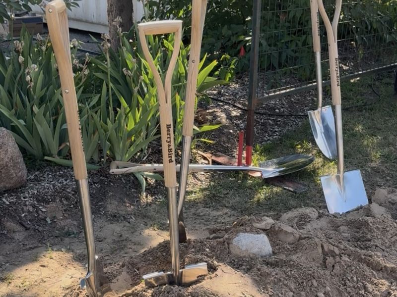 Photo of five shovels in the ground at the Mill Courtland Expansion groundbreaking