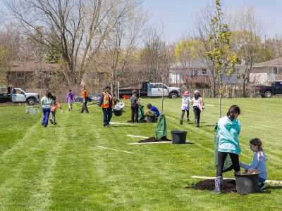 A row of trees being planted by students and Waterloo staff