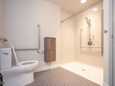 image of an accessible washroom showing a toilet with grab bars around it and a roll-in shower with grab bars within
