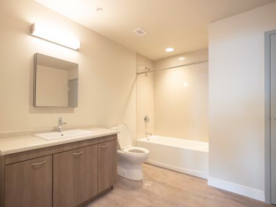 image of a bathroom with sink vanity, toilet, tub and shower 