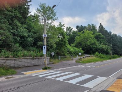 Pedestrian crossover image.